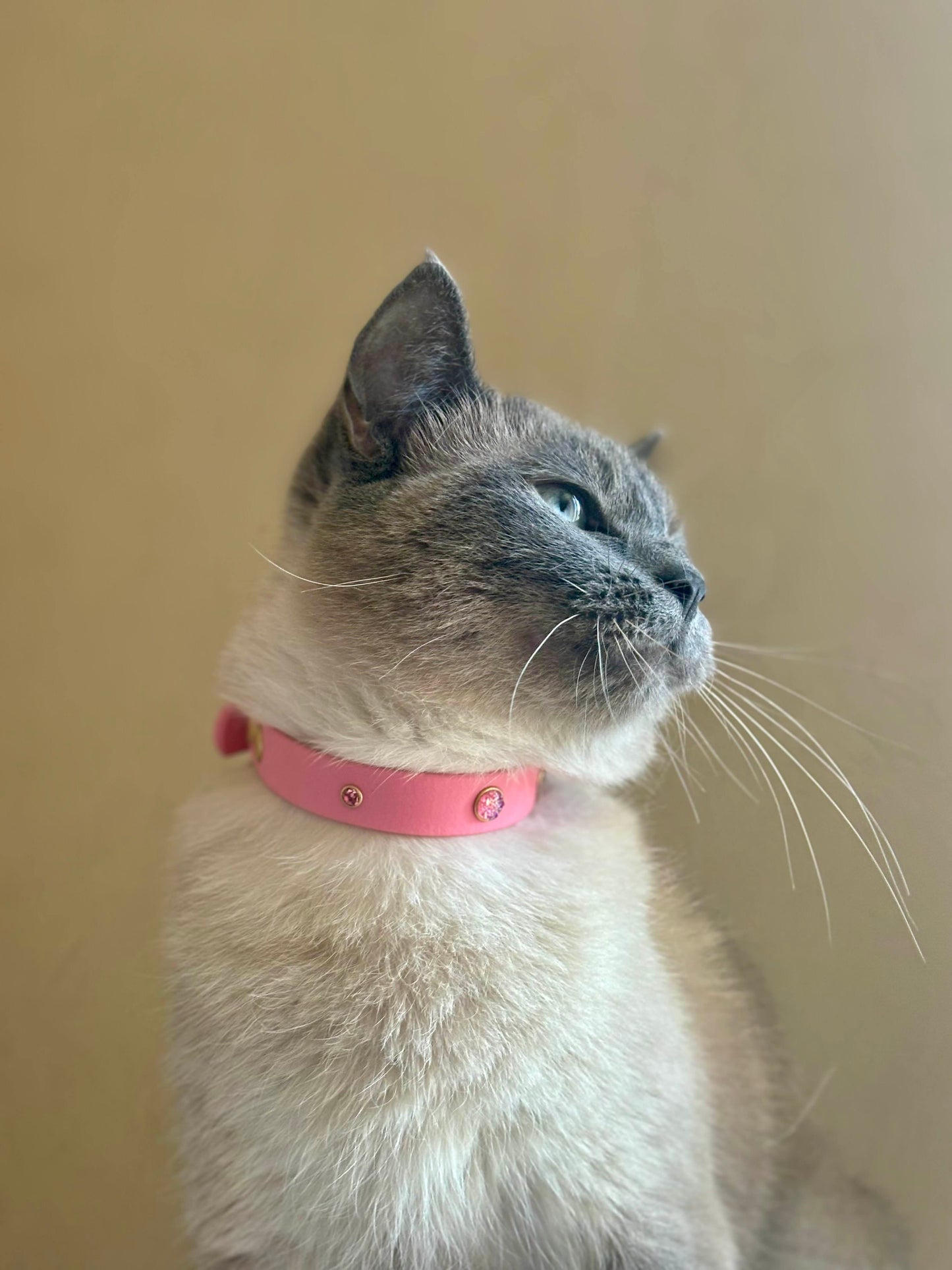 Collier Strass