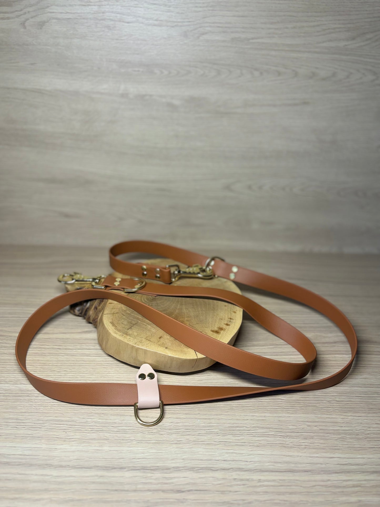 Laisse multiposition