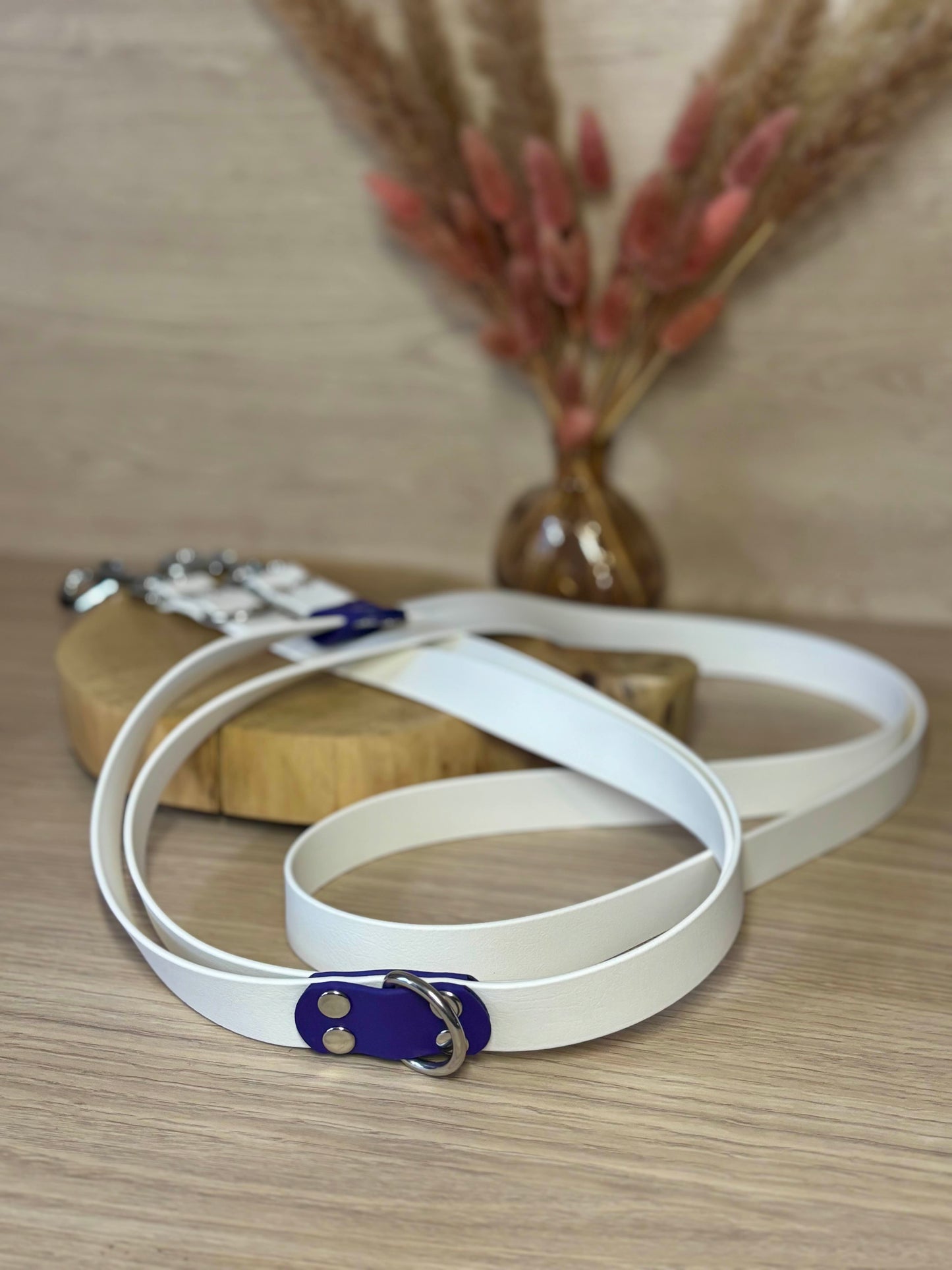 Laisse Multipostions