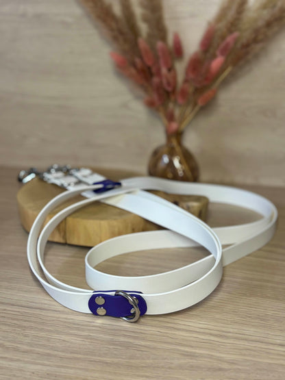 Laisse Multipostions