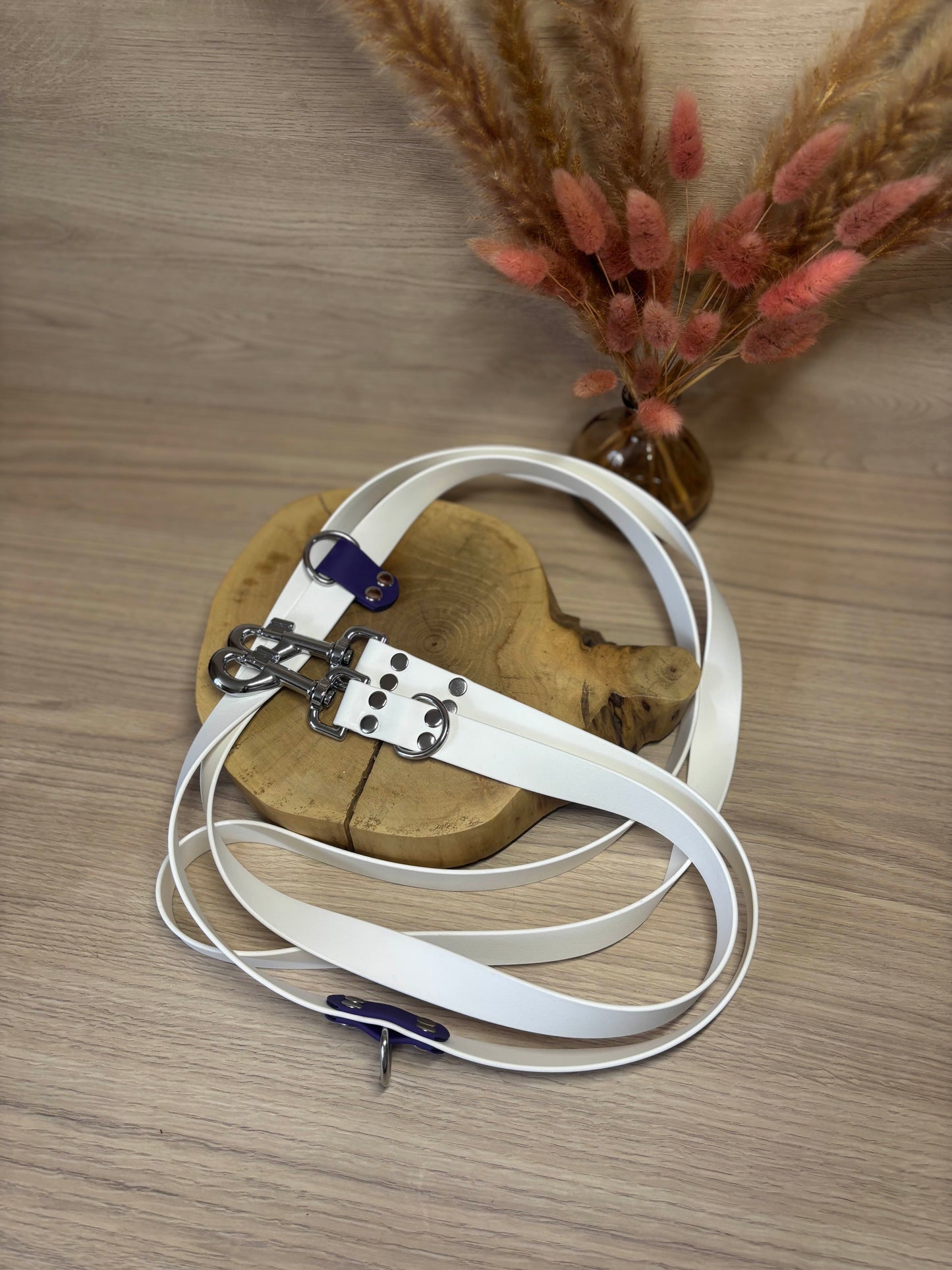 Laisse Multipostions