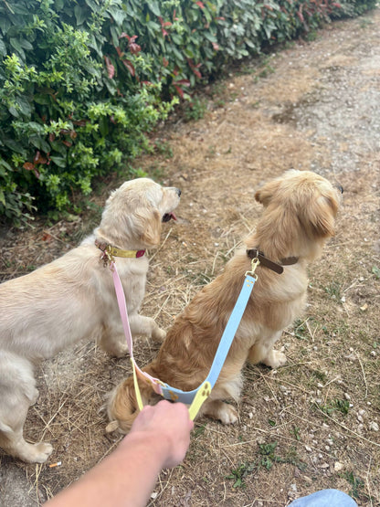 Laisse double poignet